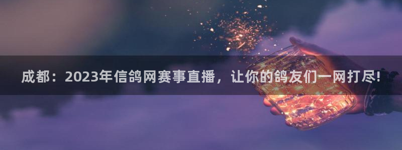 蜘蛛体育nba