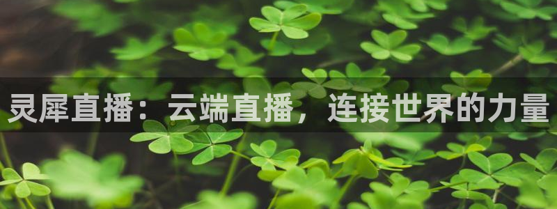 蜘蛛体育可可：灵犀直播：云端直播，连接世界的力量