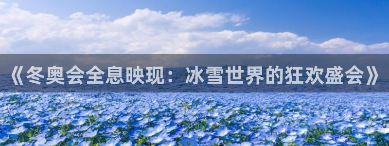 足球小蜘蛛：《冬奥会全息映现：冰雪世界的狂欢盛会》
