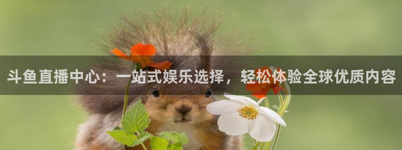蜘蛛直播体育篮球：斗鱼直播中心：一站式娱乐选择，轻松体验全球优质内容