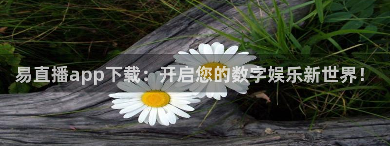 nba在线直播蜘蛛直播：易直播app下载：开启您的数字娱乐新世界！