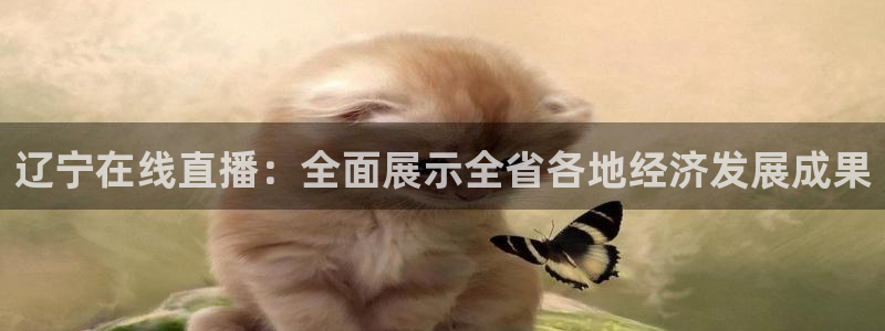 蜘蛛nba直播：辽宁在线直播：全面展示全省各地经济发展成果