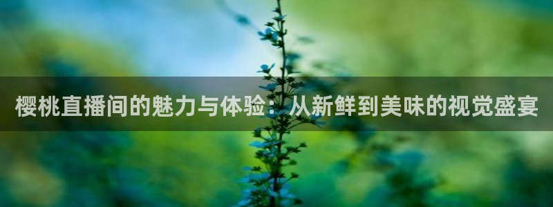 蜘蛛直播nba在线观看：樱桃直播间的魅力与体验：从新鲜到美味的视觉盛宴