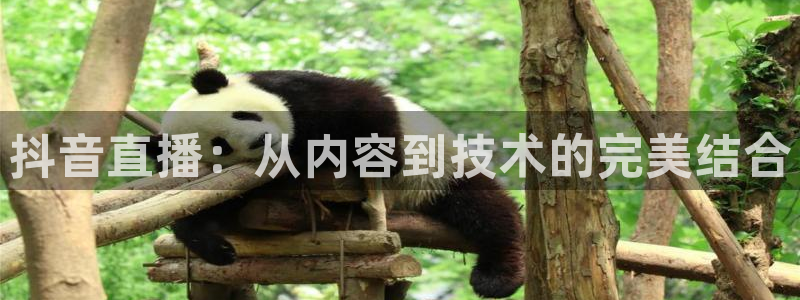 蜘蛛体育直播app下载官网：抖音直播：从内容到技术的完美结合